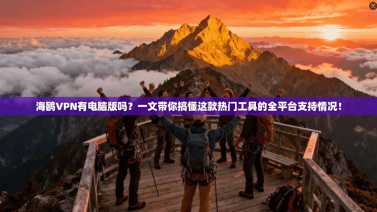 海鸥VPN有电脑版吗？一文带你搞懂这款热门工具的全平台支持情况！