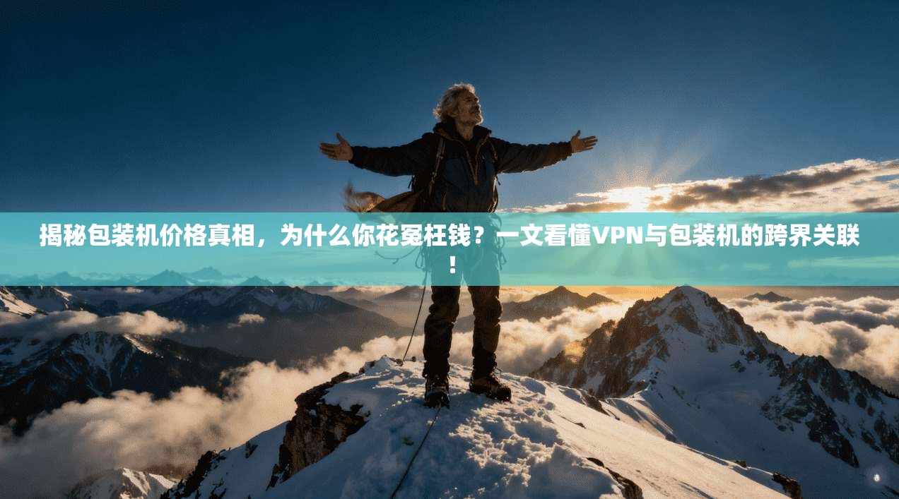 揭秘包装机价格真相，为什么你花冤枉钱？一文看懂VPN与包装机的跨界关联！