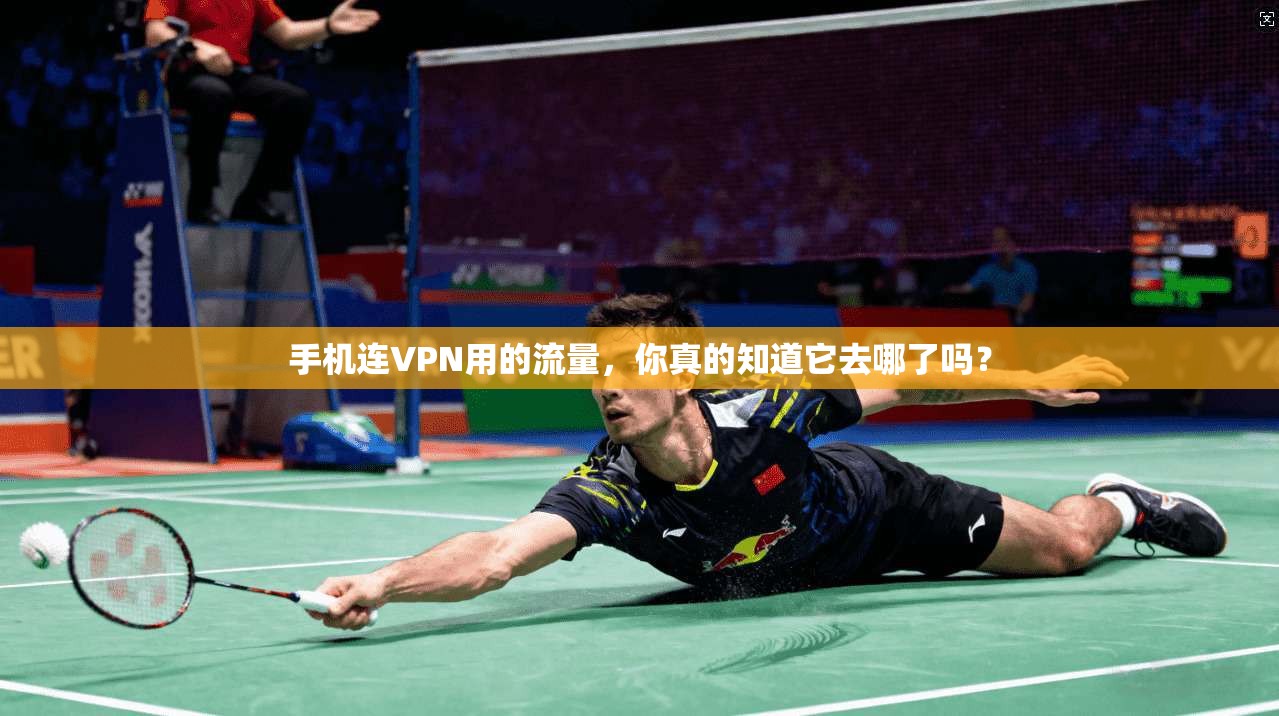 手机连VPN用的流量，你真的知道它去哪了吗？