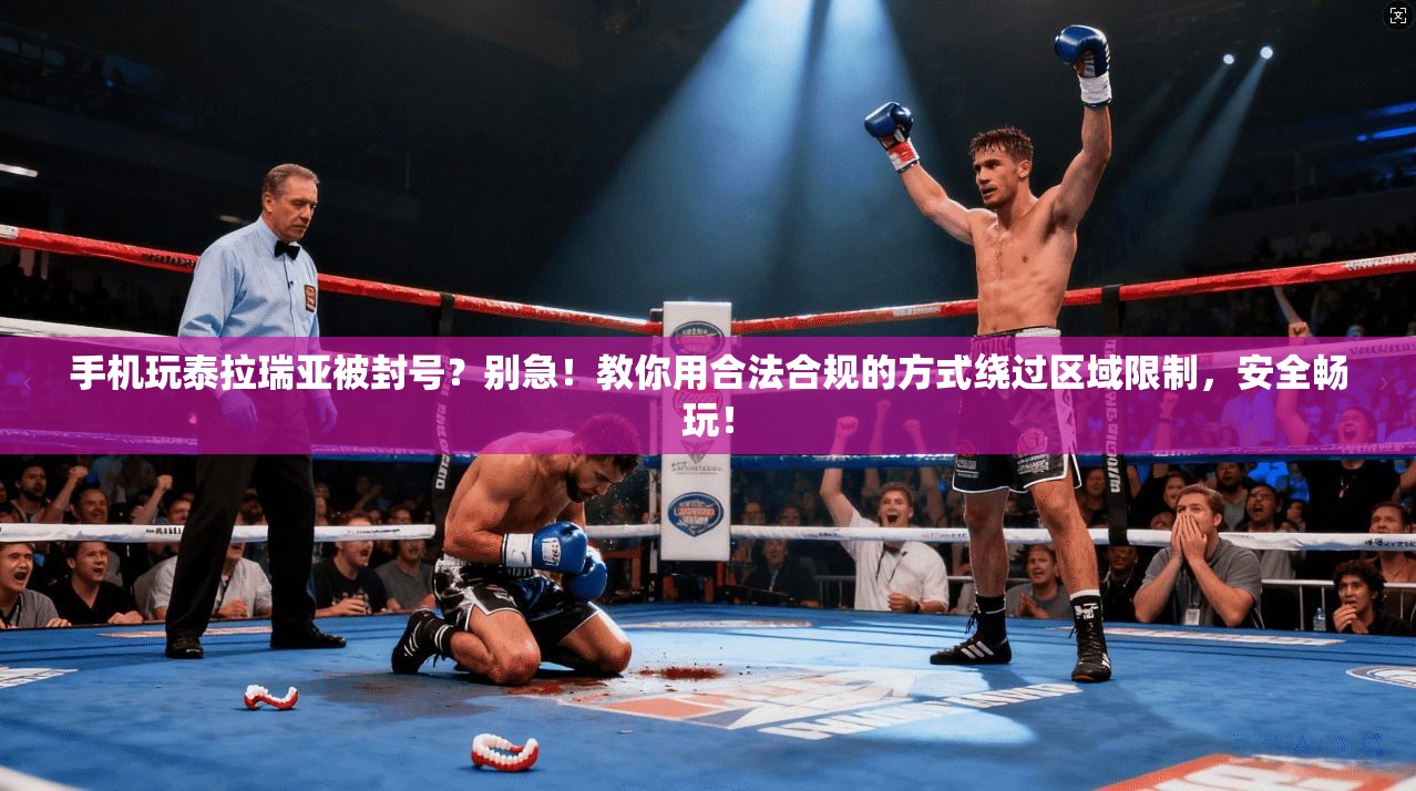 手机玩泰拉瑞亚被封号？别急！教你用合法合规的方式绕过区域限制，安全畅玩！