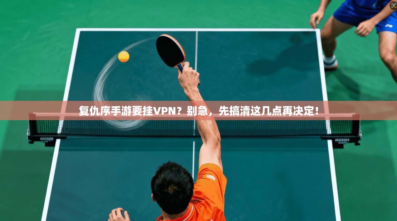 复仇序手游要挂VPN？别急，先搞清这几点再决定！