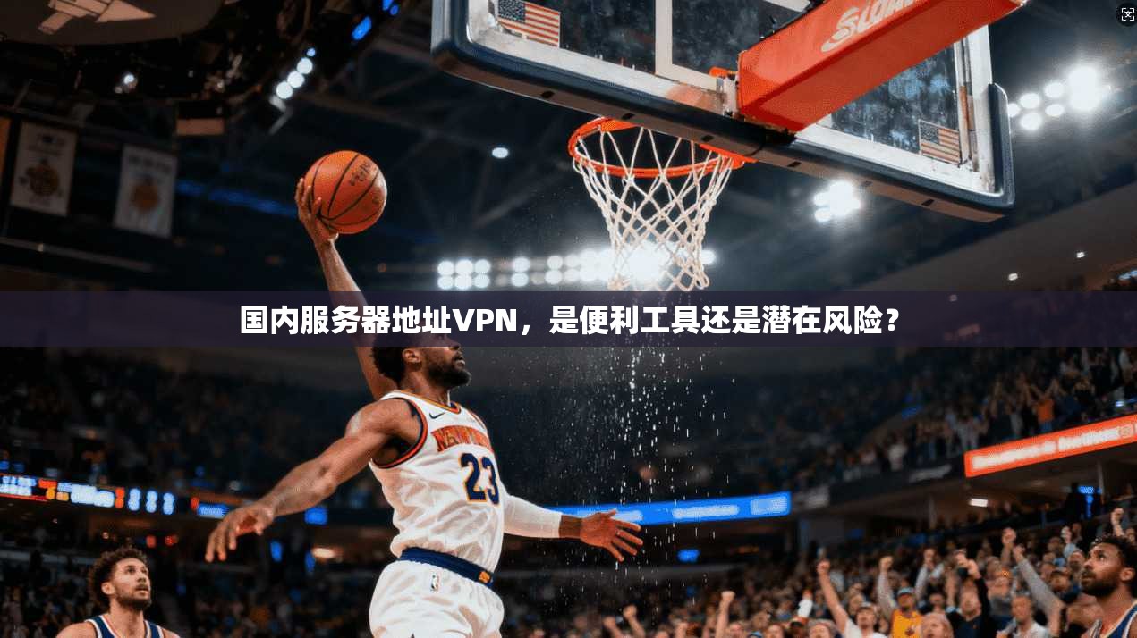 国内服务器地址VPN,是便利工具还是潜在风险?