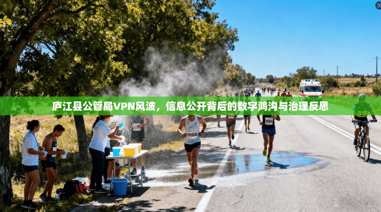 庐江县公管局VPN风波,信息公开背后的数字鸿沟与治理反思