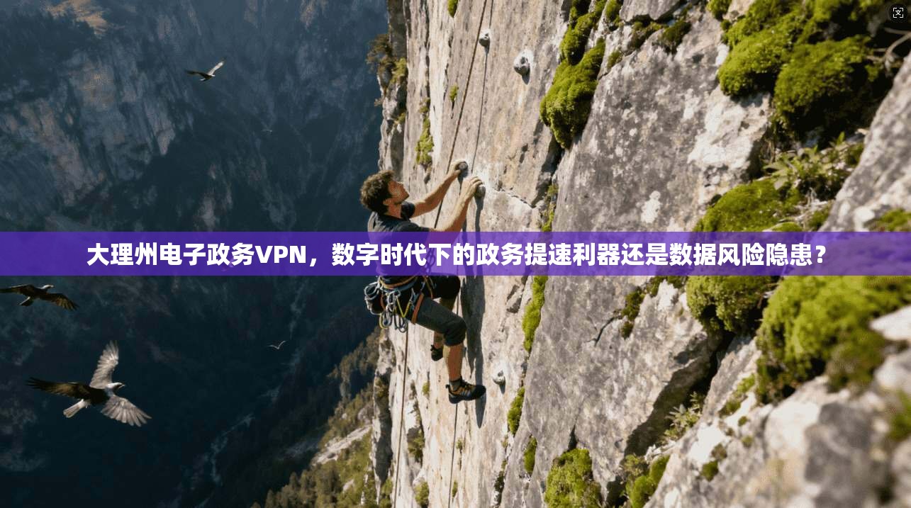大理州电子政务VPN,数字时代下的政务提速利器还是数据风险隐患?