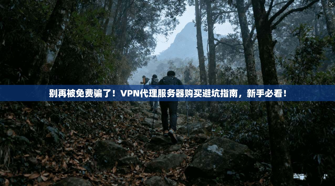 别再被免费骗了!VPN代理服务器购买避坑指南,新手必看!