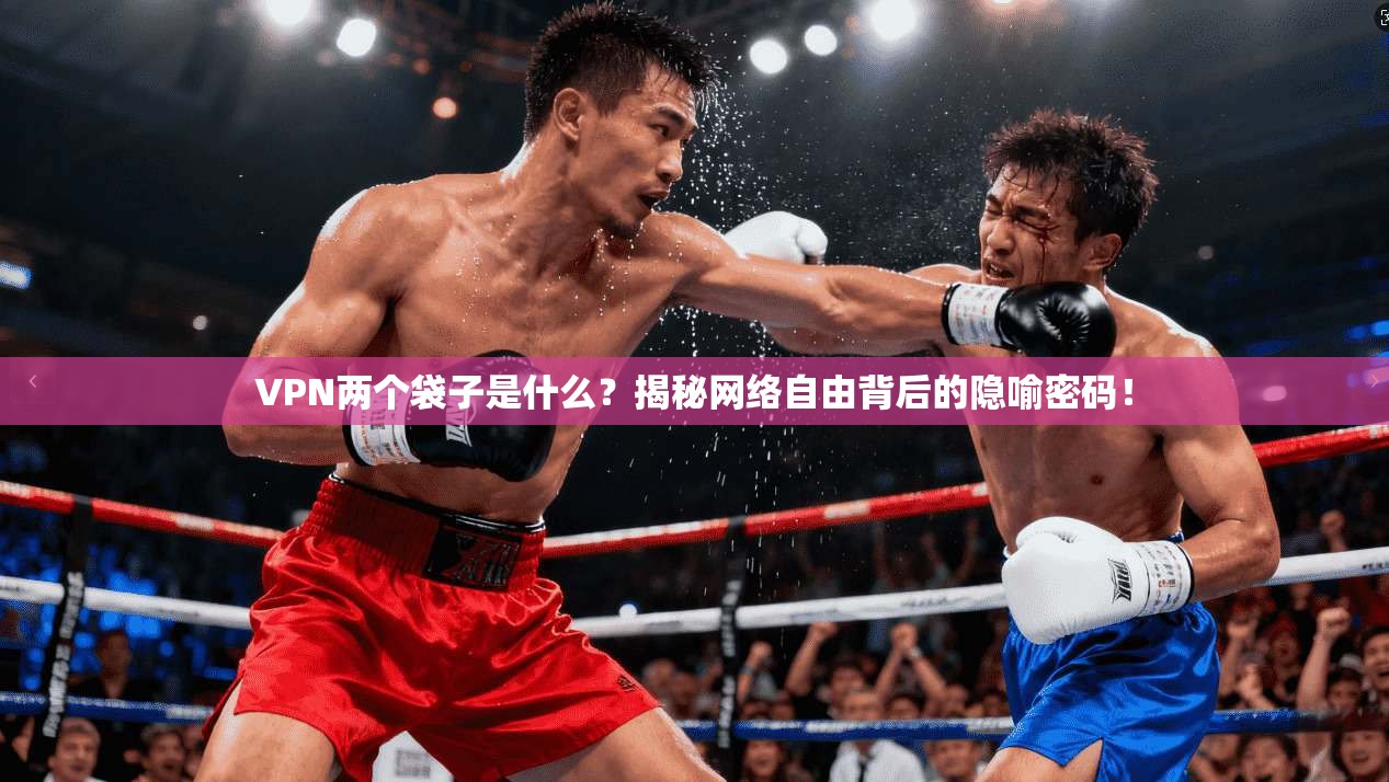 VPN两个袋子是什么？揭秘网络自由背后的隐喻密码！