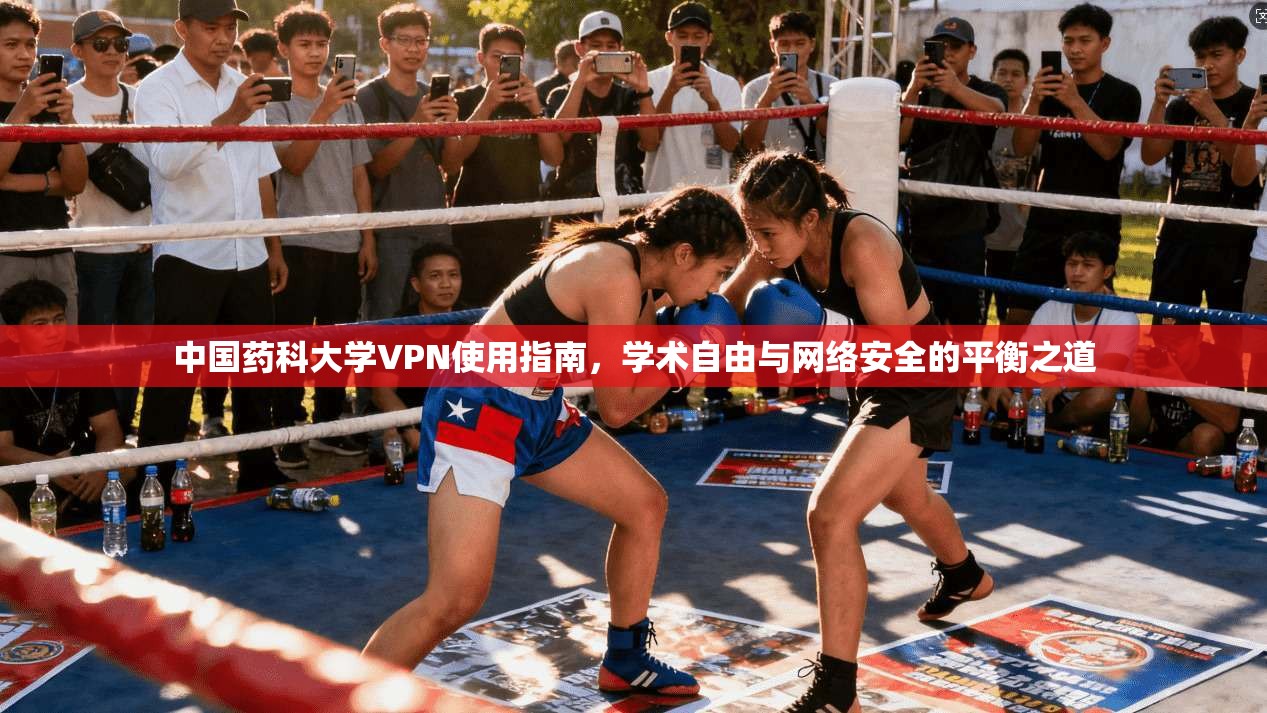 中国药科大学VPN使用指南，学术自由与网络安全的平衡之道