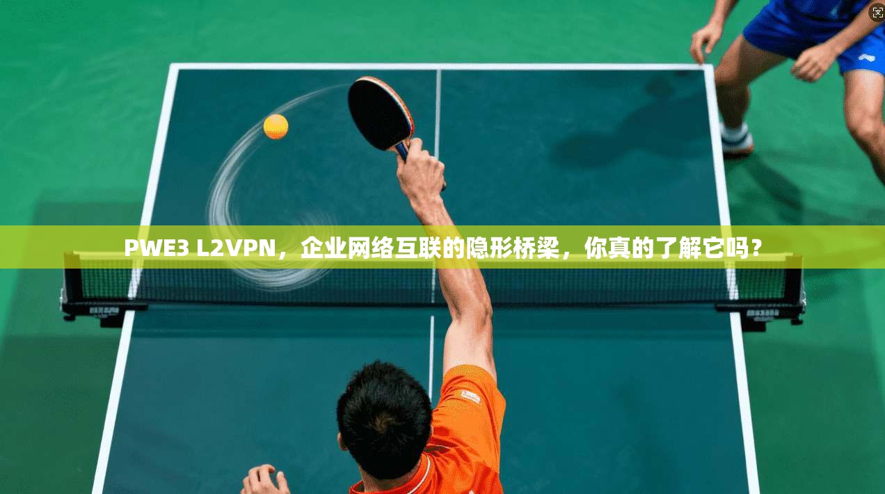 PWE3 L2VPN,企业网络互联的隐形桥梁,你真的了解它吗?