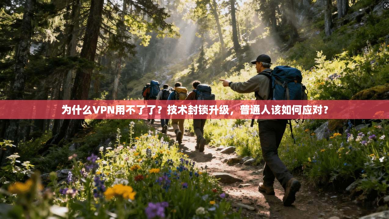 为什么VPN用不了了?技术封锁升级,普通人该如何应对?