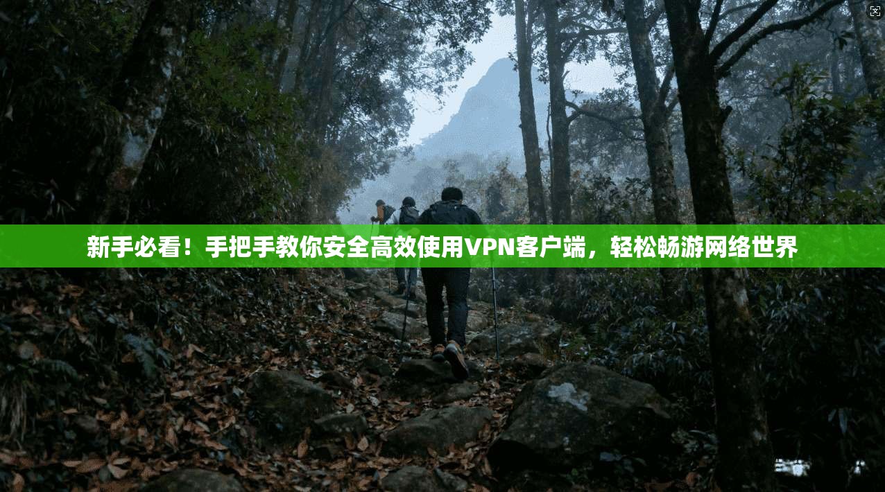 新手必看！手把手教你安全高效使用VPN客户端，轻松畅游网络世界