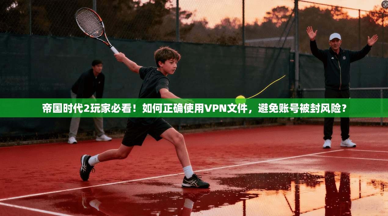 帝国时代2玩家必看！如何正确使用VPN文件，避免账号被封风险？