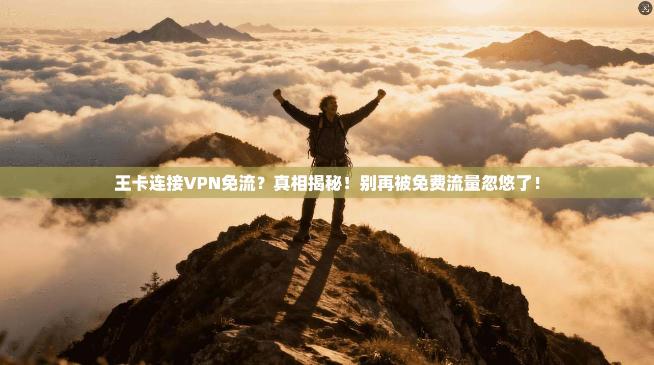 王卡连接VPN免流？真相揭秘！别再被免费流量忽悠了！
