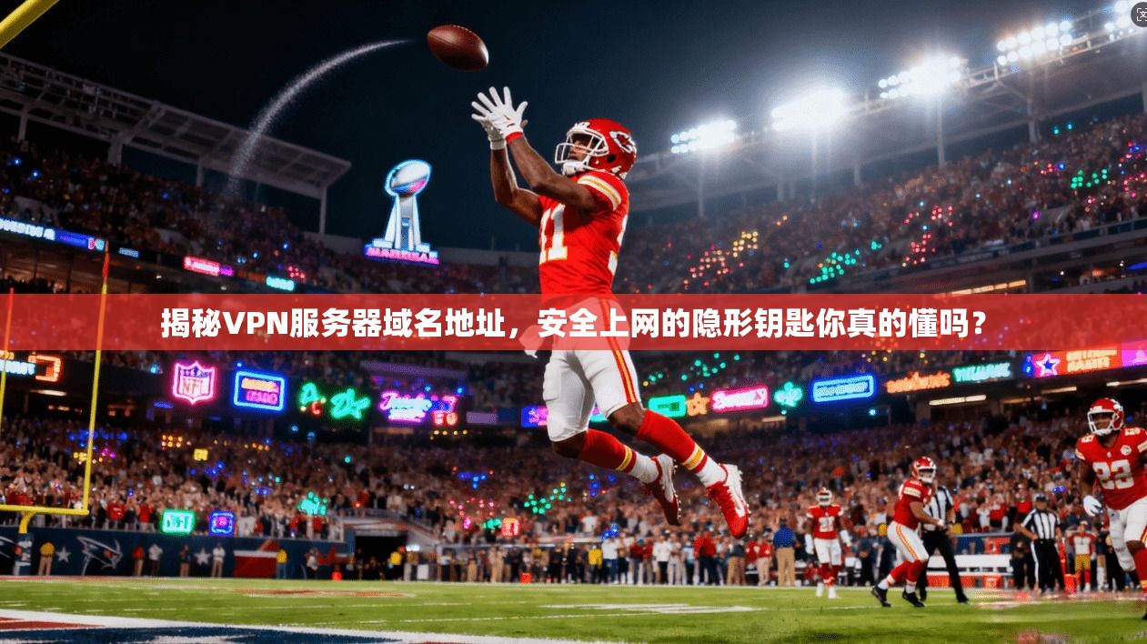 揭秘VPN服务器域名地址，安全上网的隐形钥匙你真的懂吗？