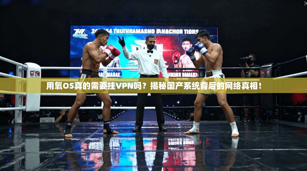 用氧OS真的需要挂VPN吗?揭秘国产系统背后的网络真相!