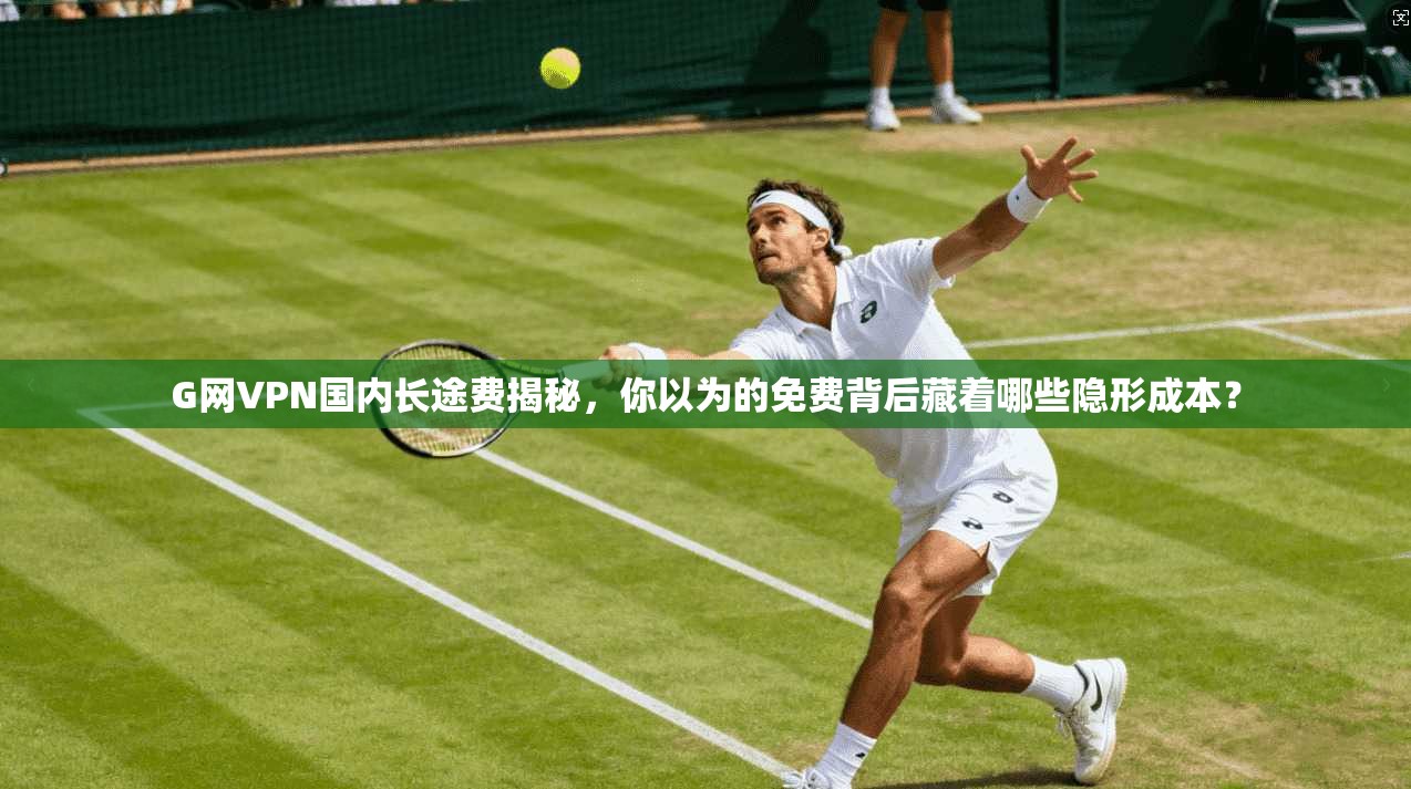 G网VPN国内长途费揭秘，你以为的免费背后藏着哪些隐形成本？