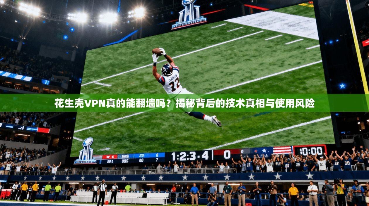 花生壳VPN真的能翻墙吗？揭秘背后的技术真相与使用风险