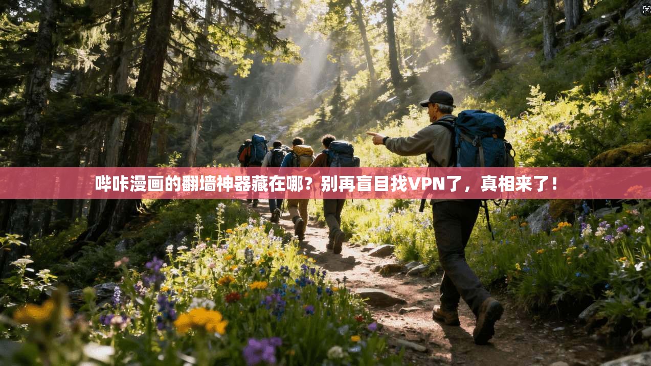 哔咔漫画的翻墙神器藏在哪？别再盲目找VPN了，真相来了！