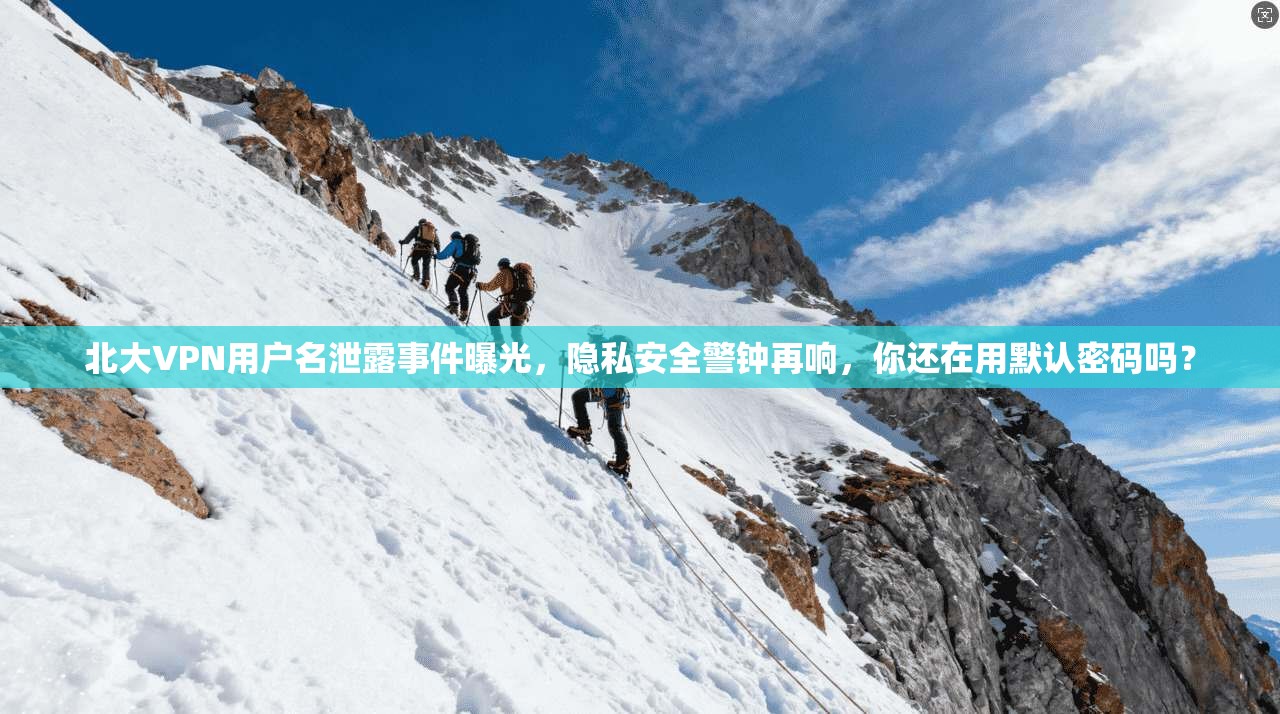 北大VPN用户名泄露事件曝光，隐私安全警钟再响，你还在用默认密码吗？