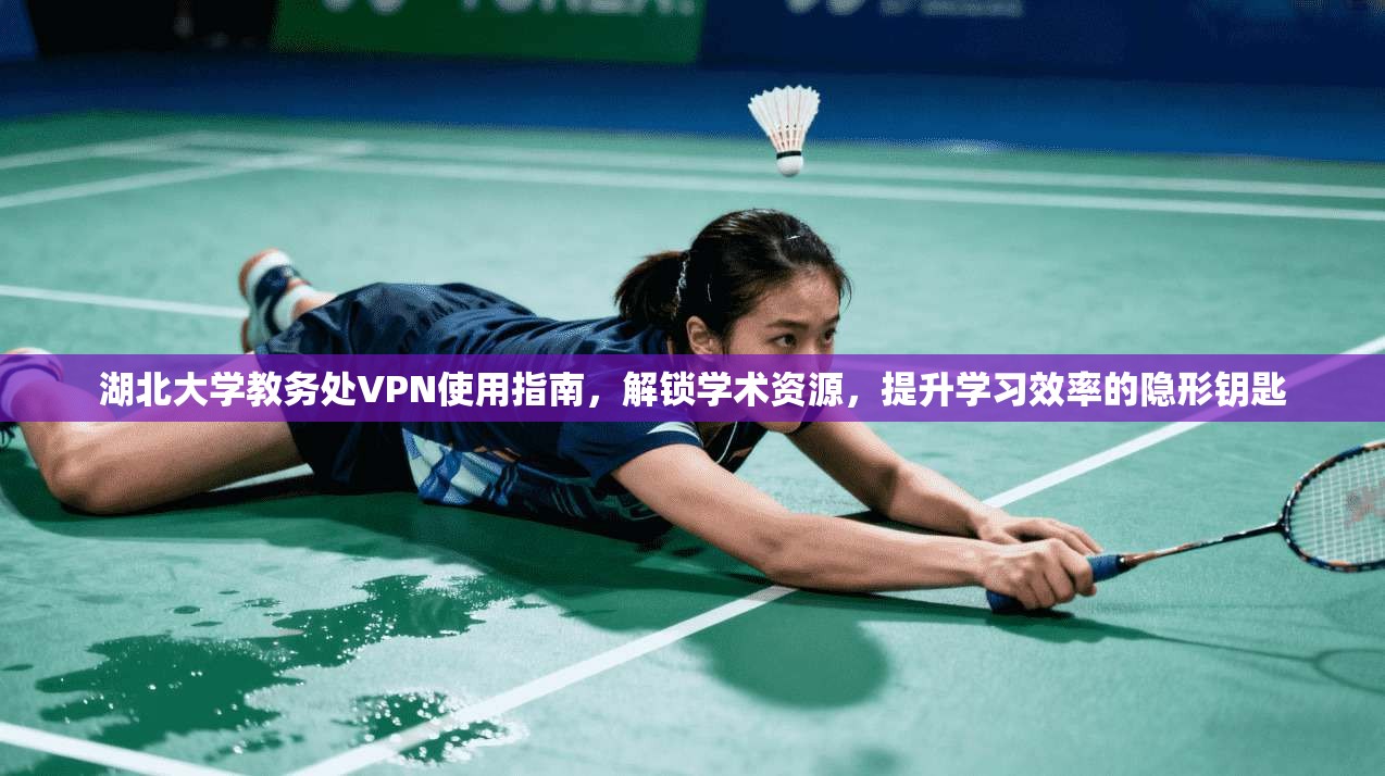 湖北大学教务处VPN使用指南，解锁学术资源，提升学习效率的隐形钥匙