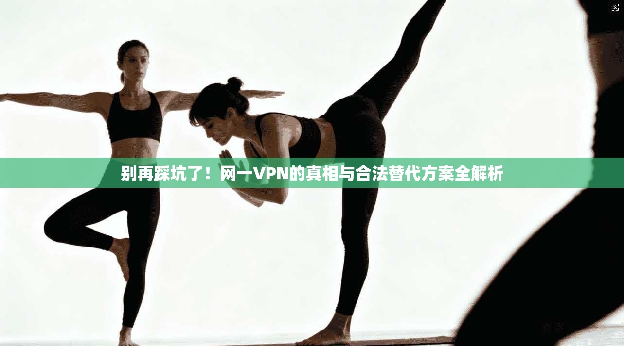 别再踩坑了！网一VPN的真相与合法替代方案全解析