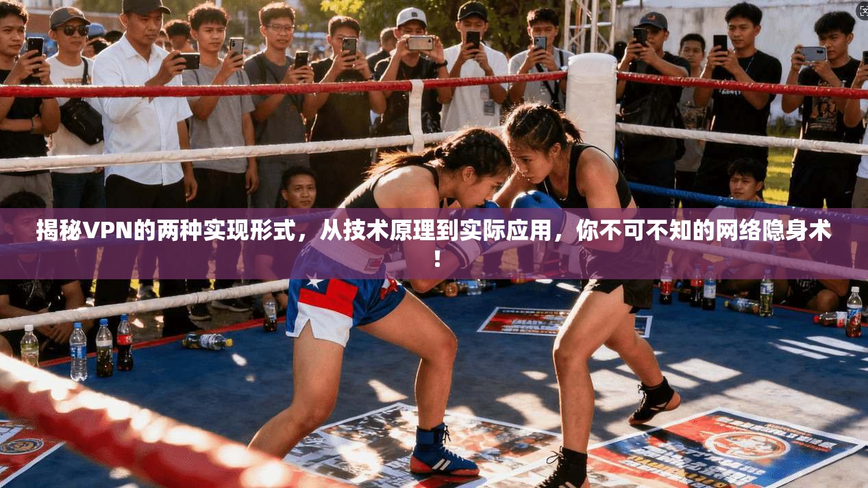 揭秘VPN的两种实现形式,从技术原理到实际应用,你不可不知的网络隐身术!