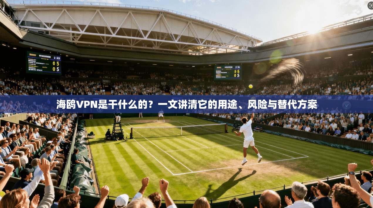 海鸥VPN是干什么的？一文讲清它的用途、风险与替代方案