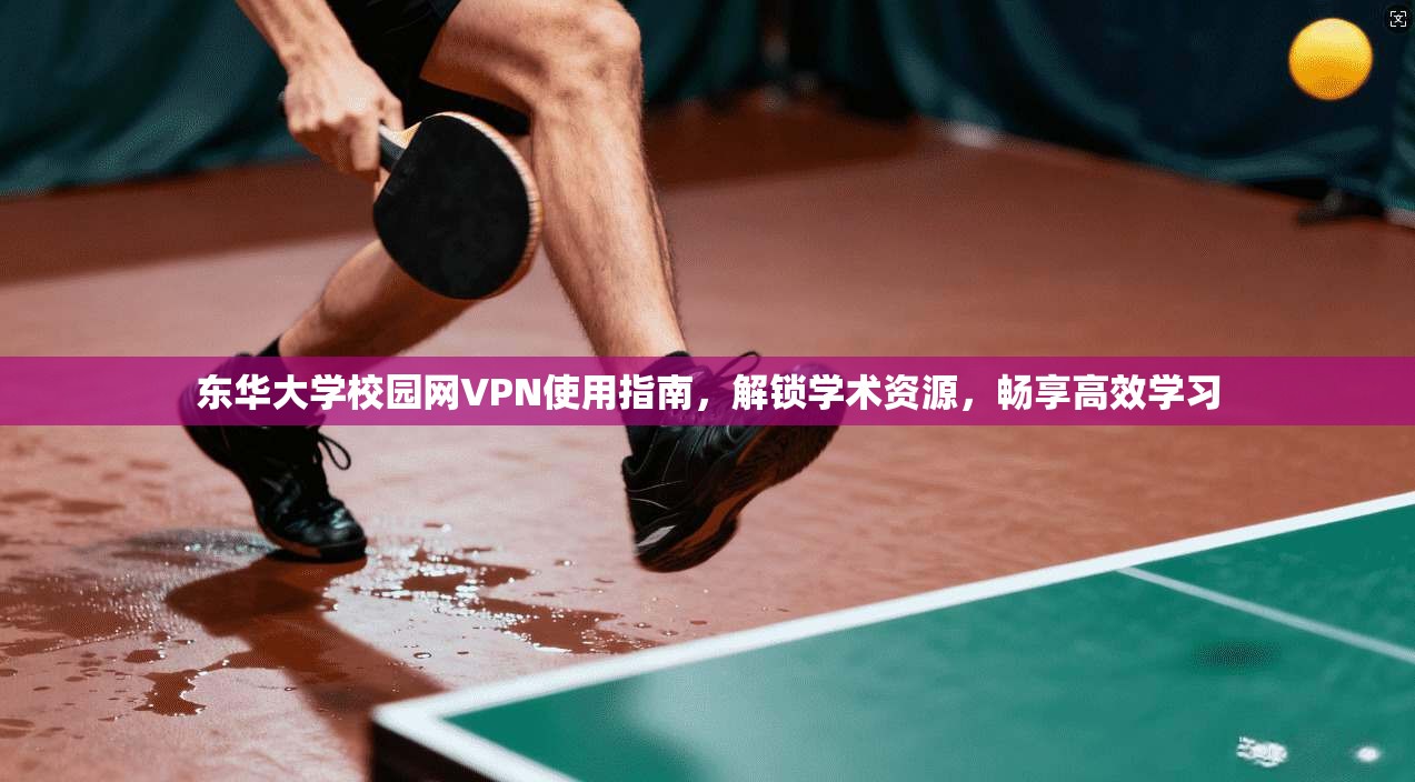 东华大学校园网VPN使用指南,解锁学术资源,畅享高效学习