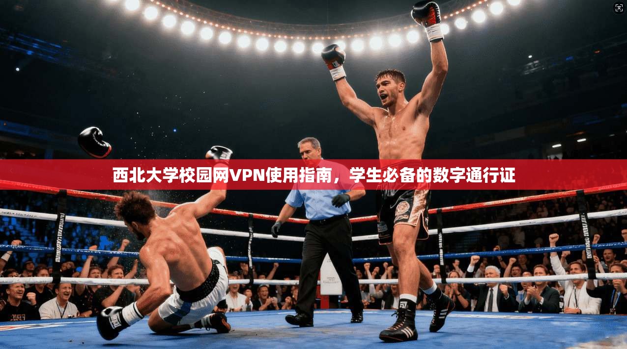西北大学校园网VPN使用指南,学生必备的数字通行证