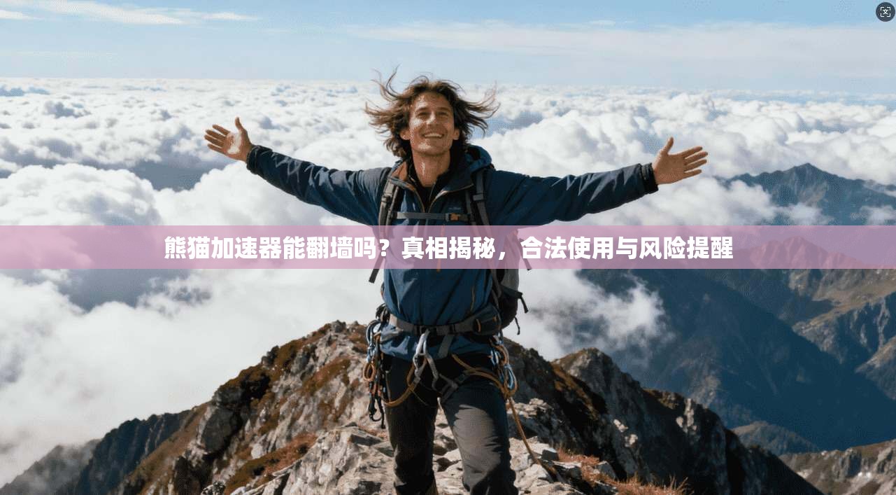 熊猫加速器能翻墙吗？真相揭秘，合法使用与风险提醒