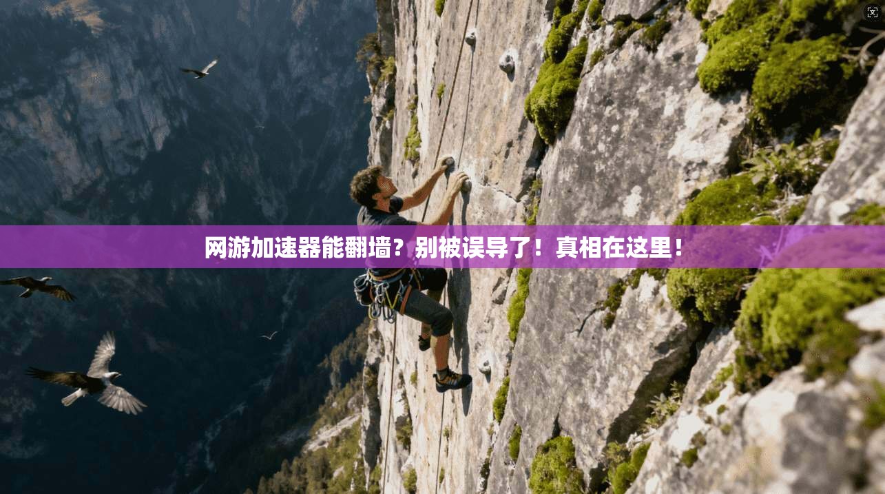 网游加速器能翻墙？别被误导了！真相在这里！